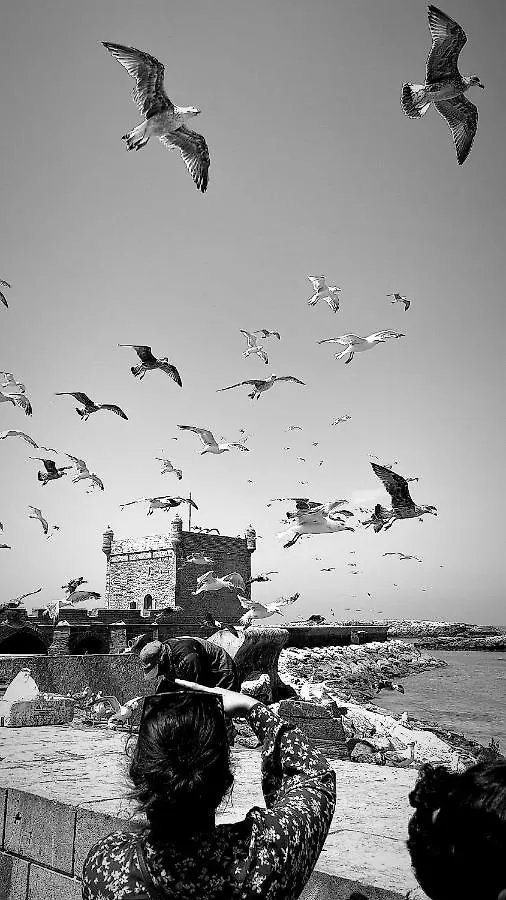 Dar Mandala With Beautiful Views And Cheerful Vibes Apartment Essaouira